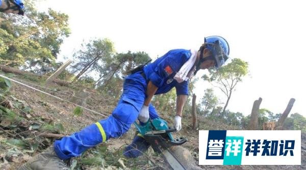 蔡徐坤携手“思源工程”捐赠款物支援重庆森林火灾扑救工作