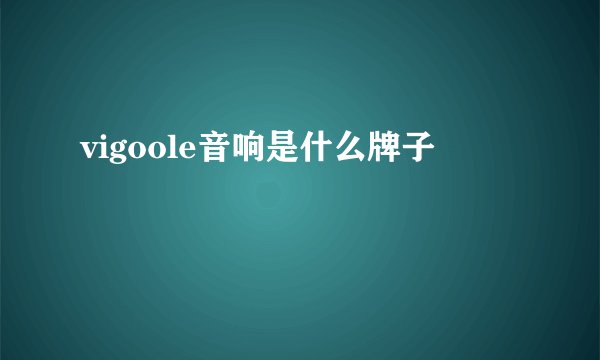 vigoole音响是什么牌子