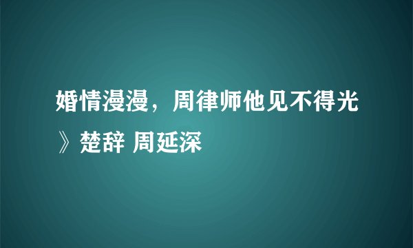 婚情漫漫，周律师他见不得光》楚辞 周延深