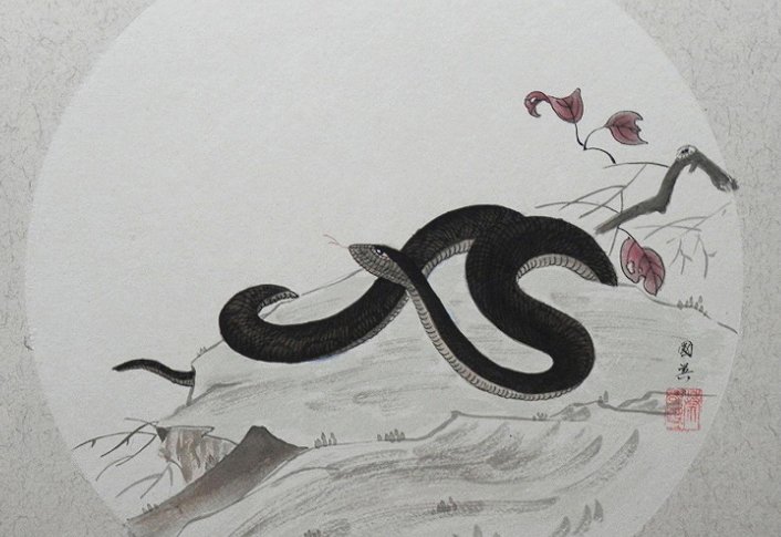 摸不着边是指什么生肖