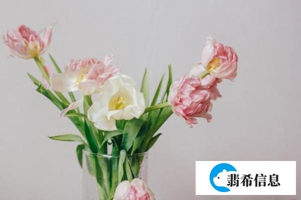 我和你不一样