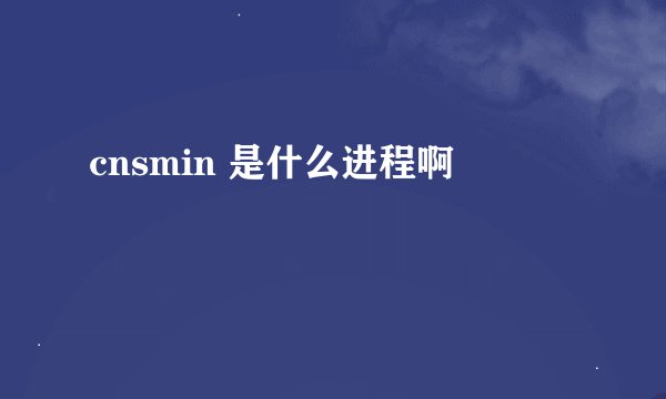cnsmin 是什么进程啊