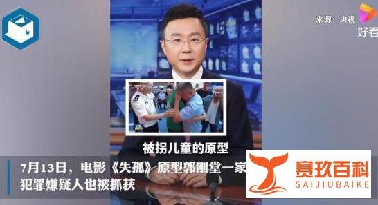 央视主播提醒有些人别动歪脑筋 这是咋情况？