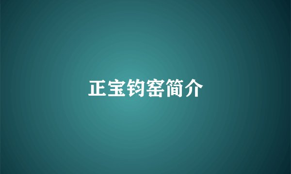 正宝钧窑简介