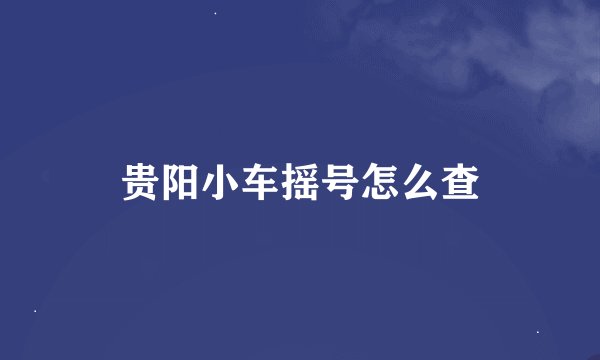 贵阳小车摇号怎么查