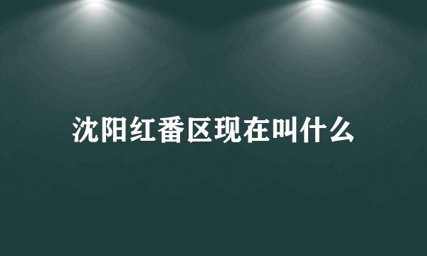 沈阳红番区现在叫什么
