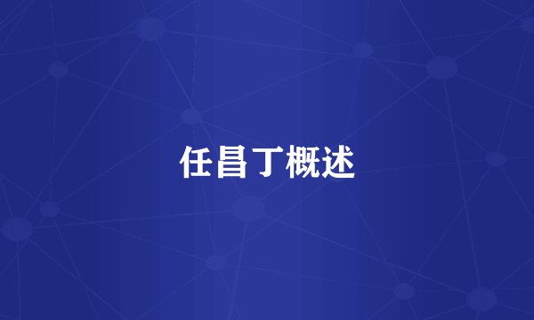 任昌丁概述