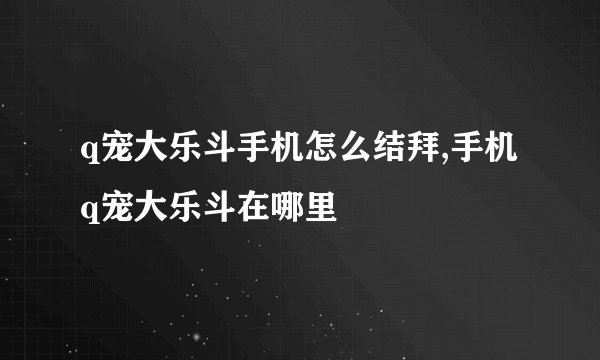 q宠大乐斗手机怎么结拜,手机q宠大乐斗在哪里
