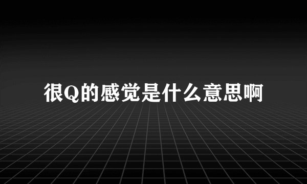 很Q的感觉是什么意思啊
