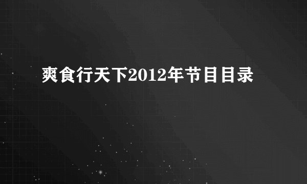 爽食行天下2012年节目目录