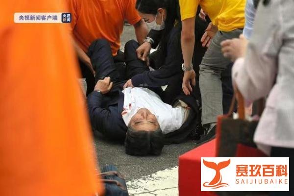 安倍晋三被霰弹枪子弹从后面约三米处击中两次， 脖子上有一个洞，已无生命体征