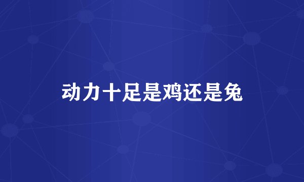 动力十足是鸡还是兔