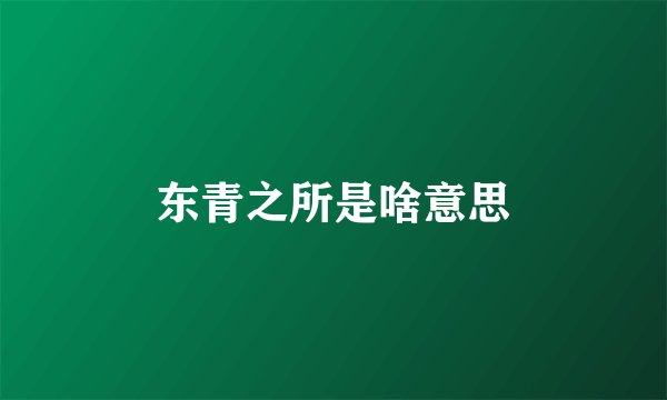 东青之所是啥意思