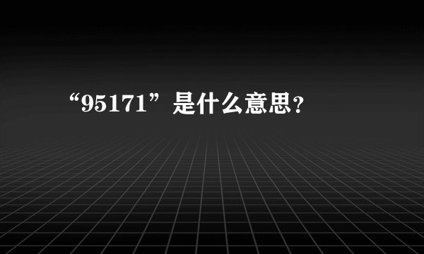 “95171”是什么意思？