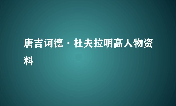 唐吉诃德·杜夫拉明高人物资料