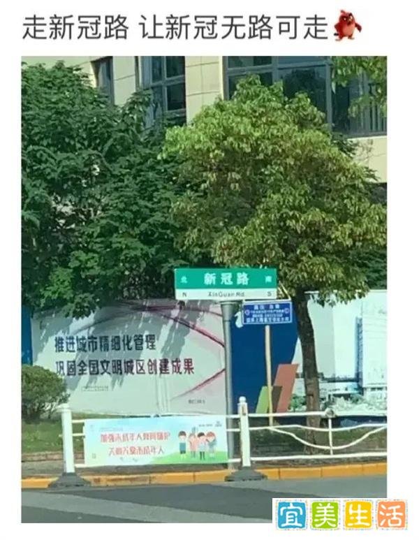 上海新冠路火出圈 到底怎么情况？