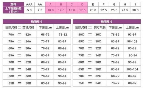 36b的胸是什么杯？
