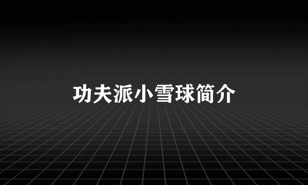 功夫派小雪球简介
