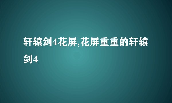 轩辕剑4花屏,花屏重重的轩辕剑4