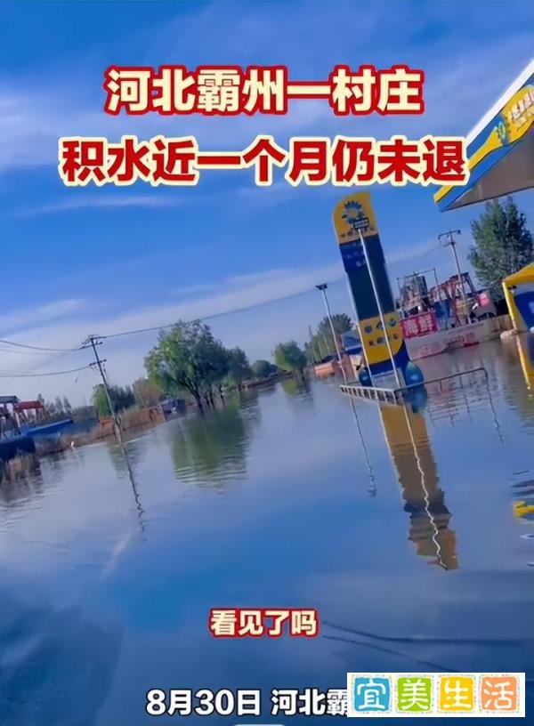 河北一村庄洪灾后积水1个月未退