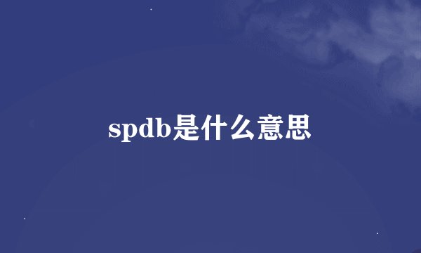 spdb是什么意思