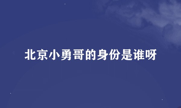 北京小勇哥的身份是谁呀