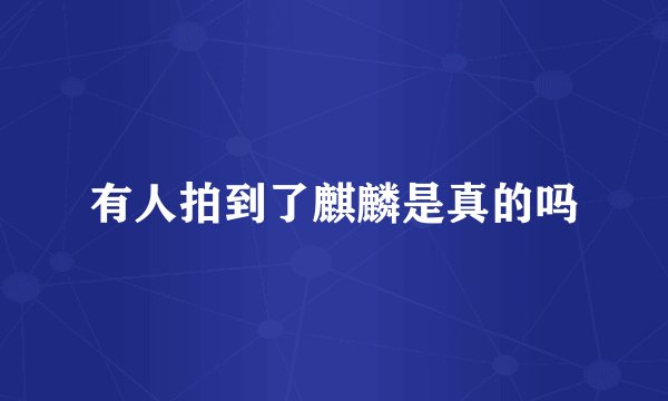 有人拍到了麒麟是真的吗