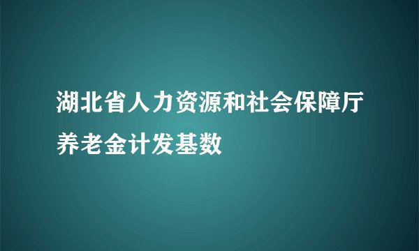 湖北省人力资源和社会保障厅养老金计发基数