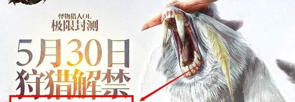 怪物猎人OL激活码如何获取