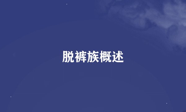 脱裤族概述