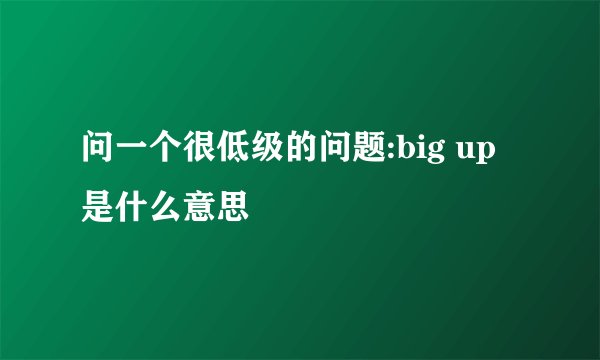 问一个很低级的问题:big up 是什么意思