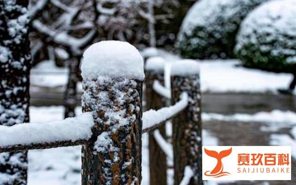 12月6日大雪,“大雪不冻,惊蛰不开”,啥意思,今年冬天冷吗?