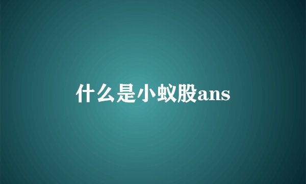 什么是小蚁股ans