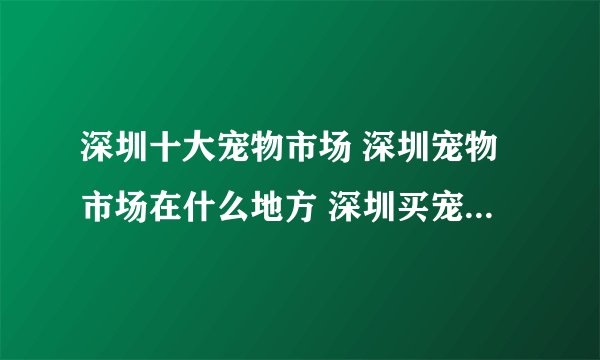 深圳十大宠物市场 深圳宠物市场在什么地方 深圳买宠物去哪里买
