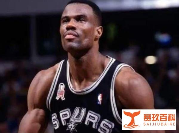 盖出一片新天地!盘点NBA季后赛十大盖帽王:马刺名宿稳居第一!