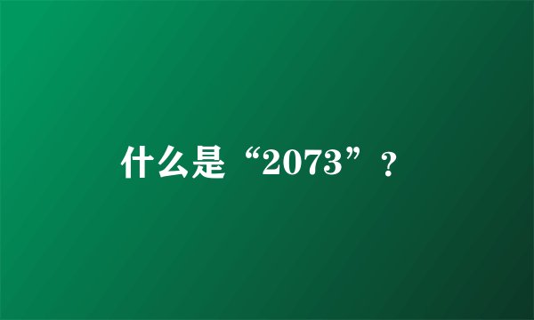 什么是“2073”？