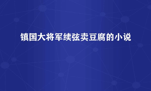 镇国大将军续弦卖豆腐的小说