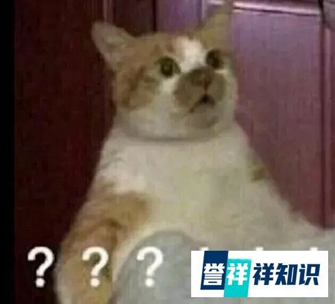 顺风车司机当街持棍“追杀”女乘客，被行拘！