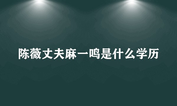 陈薇丈夫麻一鸣是什么学历