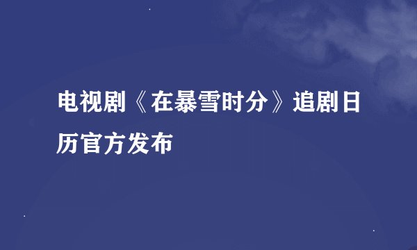 电视剧《在暴雪时分》追剧日历官方发布