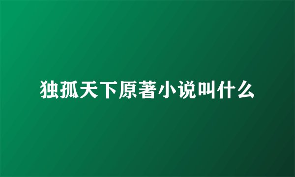 独孤天下原著小说叫什么