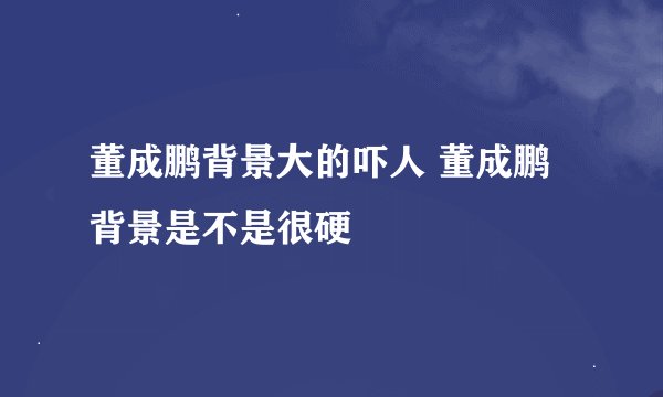 董成鹏背景大的吓人 董成鹏背景是不是很硬