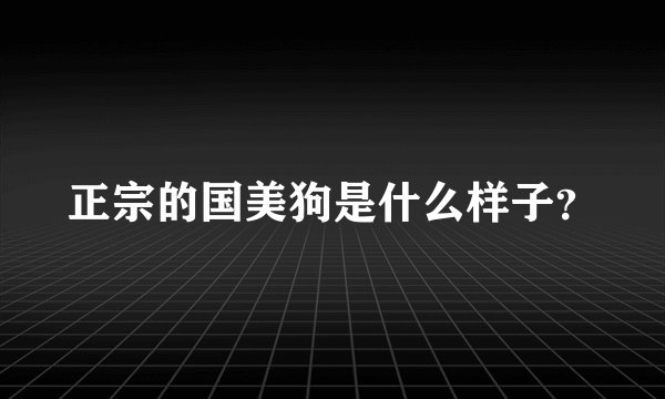 正宗的国美狗是什么样子？