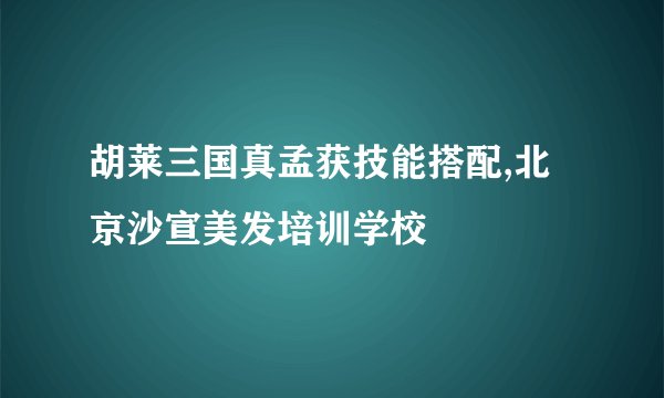 胡莱三国真孟获技能搭配,北京沙宣美发培训学校