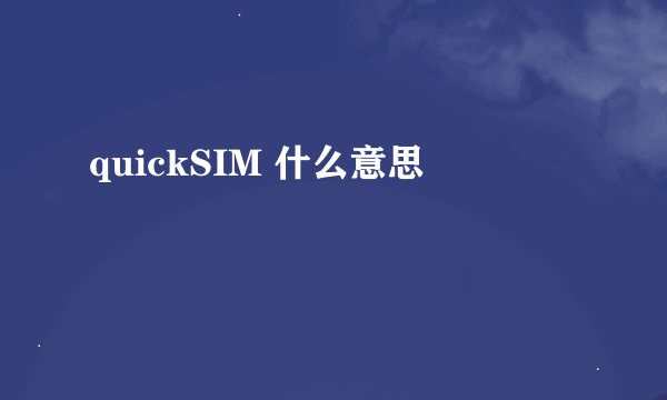 quickSIM 什么意思