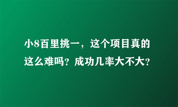小8百里挑一，这个项目真的这么难吗？成功几率大不大？