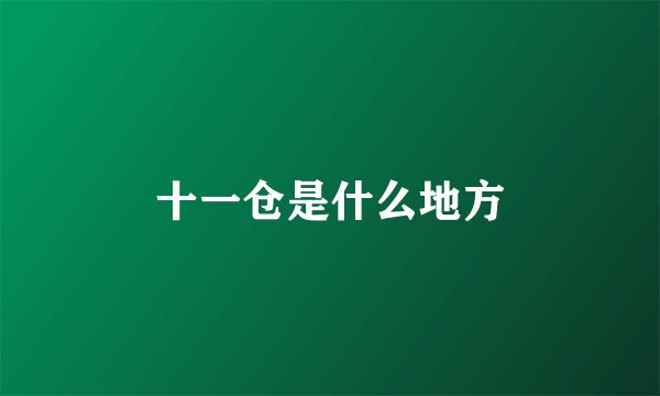 十一仓是什么地方