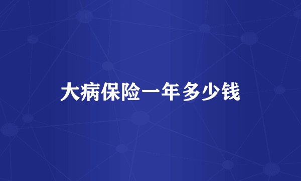 大病保险一年多少钱