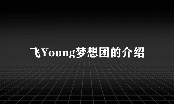 飞Young梦想团的介绍