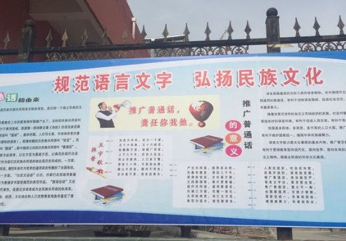 什么是“啄木鸟行动”？